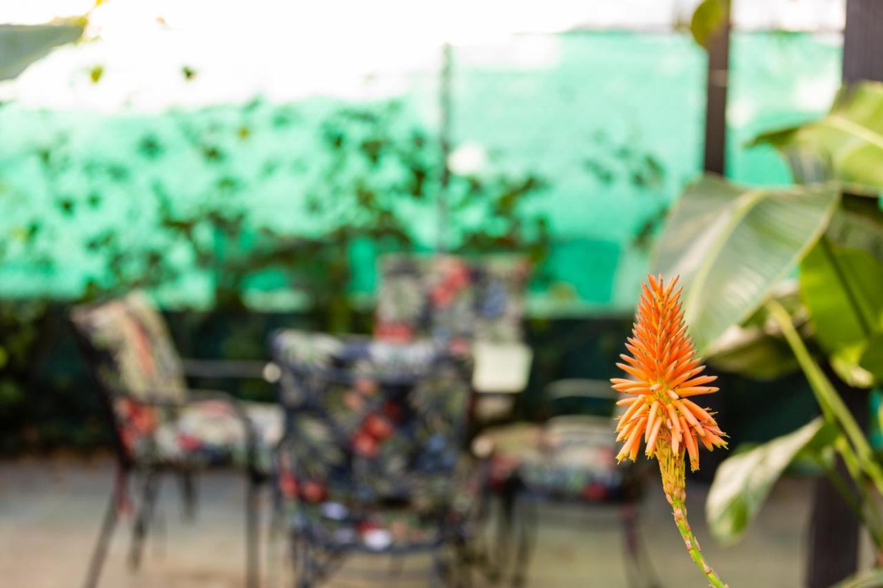 Hollywood Hills Suites 로스앤젤레스 외부 사진